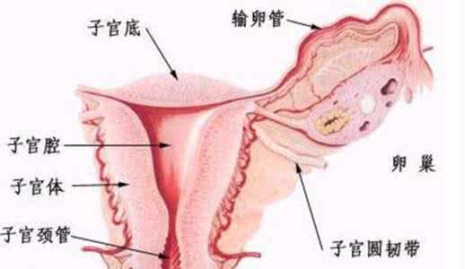 顺产多久子宫才能恢复 产后子宫多久恢复