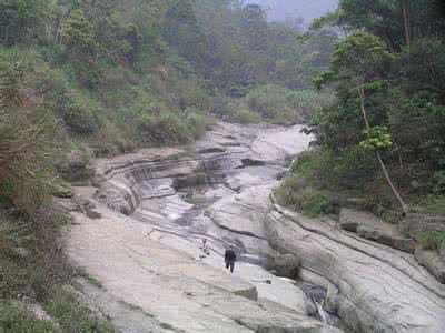 阿里山十大功劳 阿里山 阿里山十大胜境