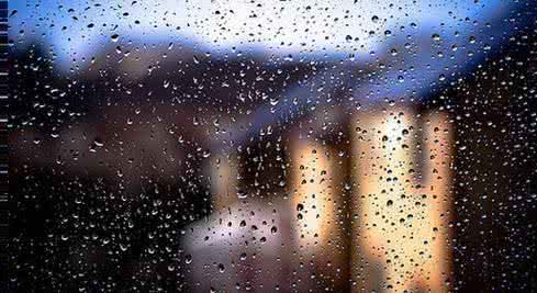 很想对自己说声对不起 跟自己，说一声对不起