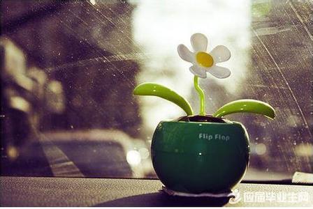 不要在意别人的评价 不要过分在意他人的评价【人生感悟】