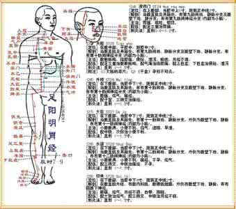 穴位作用图解