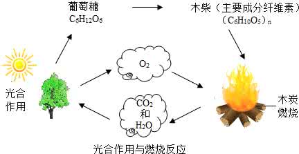 燃烧是化学反应 燃烧是化学反应 化学反应条件有燃烧吗？
