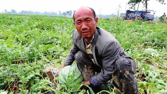 农产品滞销 农产品连年遭遇“滞销病” 农民之“急”谁来解