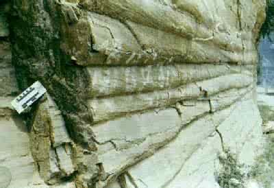 线理和面理 线理