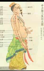 3d高清经络图 高清经络图