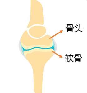 孩子相貌遗传 父母哪些相貌可能遗传给孩子
