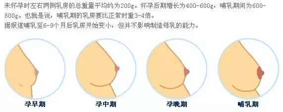 怀孕 乳房增大 怀孕乳房增大正常吗？