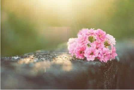 一首小诗 很短 很美 一首小诗（很短 很美）