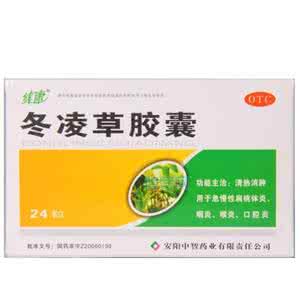 冬凌草胶囊 冬凌草胶囊的主要成份是什么?