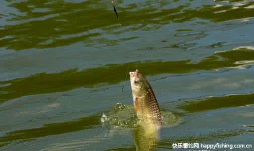 冬季钓鱼技巧 冬季钓好鱼 这些技巧不可不看