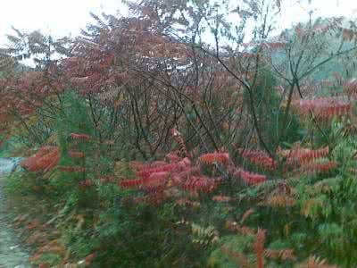 忍耐挠痒 还在忍耐冬季皮肤干痒吗？！盘点乐敦＆曼秀雷敦10款经典秋冬护肤品