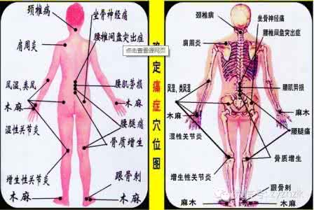 女人的保养秘籍 美颜养生，女性保养秘籍