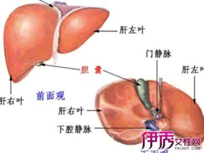 肝血管瘤治疗新方法 肝血管瘤治疗新方法 肝血管瘤治疗的方法