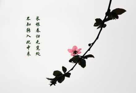 春 暖花开 性 8原创 原创:春