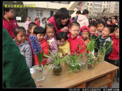 小学综合实践活动设计 小学综合08