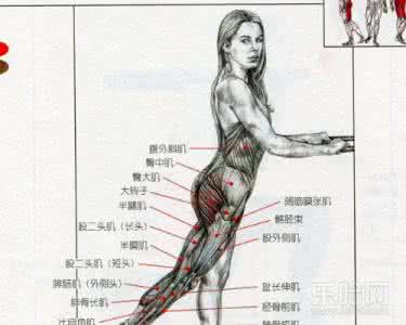 臀部肌肉锻炼方法图解 快速收紧臀部肌肉的方法