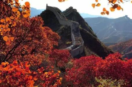 秋景堪题 红叶满山溪 京城最美的赏红叶攻略(附就近赏秋景，市区30家公园)