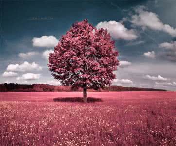 太多的借口太多的理由 无需太多理由,也无需太多解释的哲理