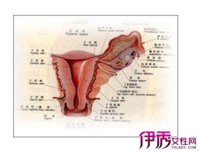 通输卵管后多久能同房 输卵管通液后可以同房吗？