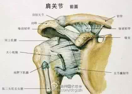 典传国术开胯图解 【典传国术】拨胯(开胯)与腰椎间盘突出的治疗