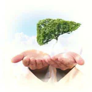 日常如何保护肝脏 日常生活中如何保护肝脏