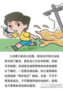 洪灾自救 【暴雨洪灾自救知识】