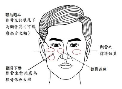 颧骨高的女人 面相女人颧骨高婚姻命运好不好