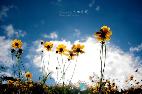 故乡的原风景 故乡的原风景（单曲 极品音画）