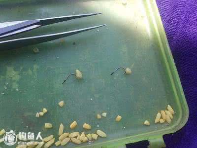 小杂鱼多怎么钓鲫鱼 经济实用的防杂鱼自制药米钓鲫鱼法介绍