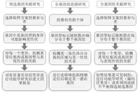 癌症发病机理研究现状 研究发现 12个月份皆有高发病
