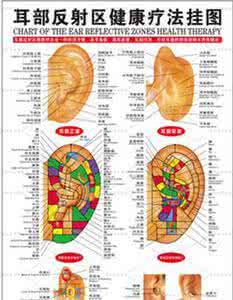强身健体 补肾壮阳 按摩耳朵保健方法 常按耳朵穴位强身健肾