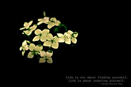 在这里我们将创造奇迹 每时每刻,我们都在创造着自己