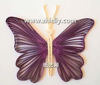 衍纸手工制作视频教程 衍纸蝴蝶手工制作教程