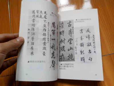 核桃仁治肾结石 古今单验方选评180—— 核桃仁是肾结石的“克星” - 名师开讲 -  华夏中医论坛 -  手机版 - Powered by Discuz!