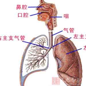 如何治疗新生儿鼻塞 新生儿鼻塞 新生儿鼻塞的中医疗法