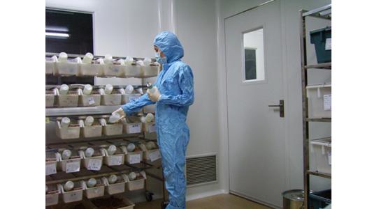 动物实验的必要性 实验动物房