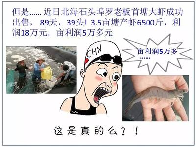 选择比努力更重要 努力比选择更重要:读《我实在不想看你再受折磨了》