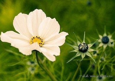 经典语句 人生感悟 20条经典人生感悟,句句经典