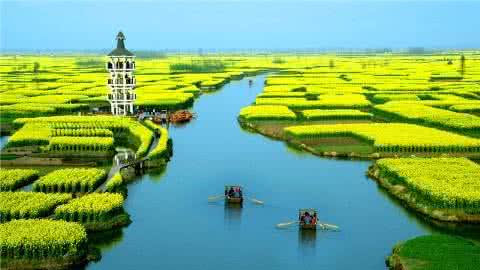 描写油菜花美景的诗句 《还是忍不住想你》水乡油菜花美景