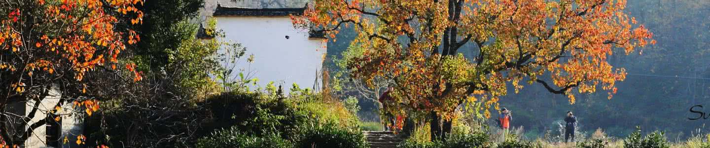 清新典雅的皖南古村落 清新美丽 塔川古村  (旅游览胜）