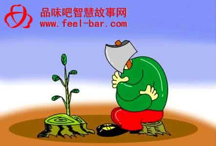 学会耐心等待绘本 在沉潜中学会耐心等待的哲理