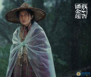 我不是李雪莲 《我不是潘金莲》:但我是李雪莲啊!