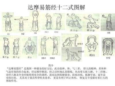 少林易筋经内功心法 少林易筋经十二式图解