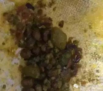 老中医百病特效验方 【中医验方】《治肾结石特效方》20~30天治愈!