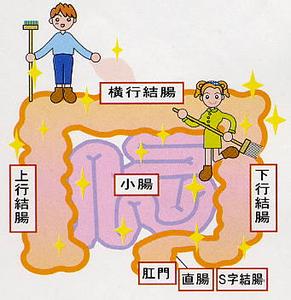 手机种病毒怎么觧决 觧 决 宿 便 问 题