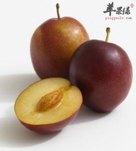 杏和李子孕妇能吃吗 孕妇可以吃李子吗 孕妇可以吃杏子吗