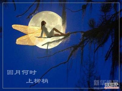 送你一轮明月 林清玄 送你一轮明月林清玄 送你一轮明月