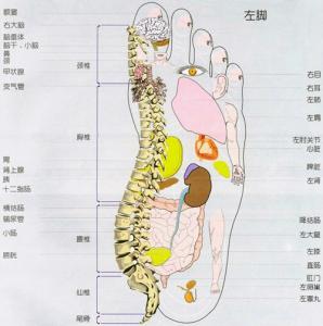 简单的捏脚的手法图解 脚全息图