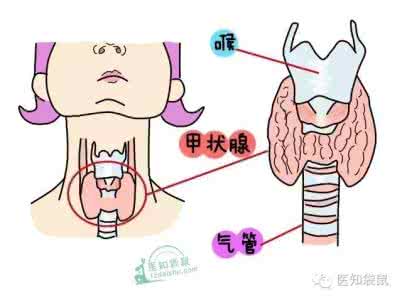 孕妇甲状腺激素偏高 孕妇为什么会甲状腺高 甲状腺激素高可以怀孕吗