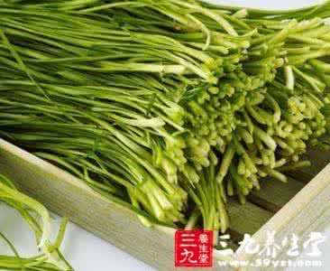 春季韭菜的施肥和管理 春季韭菜六大益处